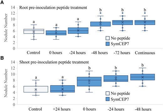 Temporal analysis of the efficacy of root versus shoot SymCEP7 application. A, Plants were grown on N-free Fåhraeus medium for four days prior to inoculation. Whole roots were treated with 500 µl of 1 µM SymCEP7 at the time of inoculation, or 24, 48, or 72 h prior to inoculation. Nodules were scored at 14 days post inoculation (dpi). B, Plants were grown on N-free Fåhraeus medium for four days and shoot treated with SymCEP7 (a 10 µl dose at 10 nM) either 24 hours after, at the time of inoculation, or 24 and 48 hours prior to inoculation of Sm1022. Nodules were scored at 14 dpi. In (A) and (B), data are plotted as open circles, centre lines show the median; box limits indicate the 25th and 75th percentiles, crosses represent samples means, whisker boundaries show the 1.5 interquartile range. Significant differences are shown with letters (Two-way ANOVA, P < 0.001, n = 21–28 plants, one experimental repeat).