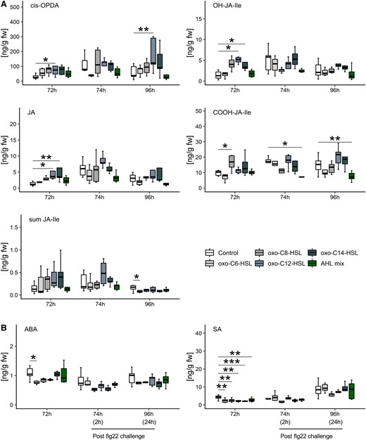 Content of jasmonates is lower in AHL mix-primed plants after exposure to flg22. Content of plant hormones was measured 72 h after exposure to either 6 µM of oxo-C6-HSL, oxo-C8-HSL, oxo-C12-HSL, and oxo-C14-HSL or its mix (AHL mix) as well as 2 h (74 h) and 24 h (96 h) after an additional challenge with 100 nM flg22. Changes in hormonal concentration were observed for cis-OPDA, JA and JA-derivative molecules; OH-JA-Ile and COOH-JA-Ile in plants primed with particular AHL molecules. Two and 24 h after flg22 challenge content of COOH-JA-Ile was lower in AHL mix-primed plants. A, Content of cis-OPDA was enhanced in long-chain AHL-primed plants 24 h after challenge with flg22. Concentrations of JA-Ile as well as of SA and ABA (B) did not change in response to the challenge, except for JA-Ile in oxo-C6-HSL pre-treated plants. Boxes represent the interquartile range between the first and the third quartile and the middle line marks the median, whiskers indicate 1.5× interquartile range. Each treatment contained minimum five biological replicates. Statistical analysis, comparisons are indicated by the horizontal lines above bars, was performed by Student's t-test, *P < 0.05, **P < 0.01, ***P < 0.001. Hormonal content is presented in ng per g plant fresh weight (ng/g fw).