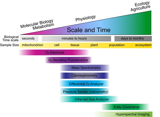 Available methods for quantifying respiration rates are generally suitable for biological studies at a particular scale: both time and size. The time scales shown are very approximate but indicate that techniques are typically used to observe respiratory variation at different intervals. Infrared gas analyzers (IRGA) are utilized across the greatest scope of time and size, and in fact, eddy covariance relies on IRGA measurements of CO2 but calculates respiratory flux by a different method.