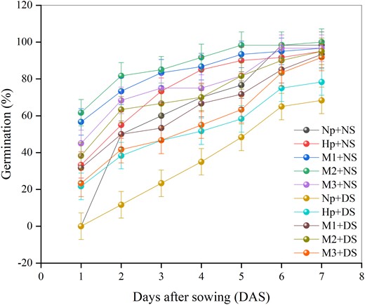 Effects of seed priming with different melatonin concentrations on maize seed germination under DS conditions. No priming (NP): unprimed seeds; hydro-priming (HP): primed in water only; no-stress (NS): no PEG-6000 was added; DS: 15% PEG-6000 was added; melatonin-priming (M1): 250 µM melatonin; melatonin-priming (M2): 500 µM melatonin; melatonin-priming (M3): 1000 µM melatonin. Data represent means of all replicates, and the vertical bars are the LSD values based on 0.05% probability values.