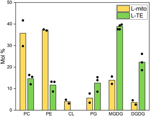 Lipid class profiles of purified mitochondria and total leaf extracts. Glycerolipids of leaf total extract (L-TE) and mitochondria isolated from leaves (L-mito) were analyzed by a TLC–GC/FID approach. Data of L-TE represent mean values in mol % from three independent experiments; data of L-mito represent mean values in mol % from two of the three independent experiments. PC, phosphatidylcholine; PE, phosphatidylethanolamine; CL, cardiolipin; PG, phosphatidylglycerol; MGDG, monogalactosyldiacylglycerol; DGDG, digalactosyldiacylglycerol.
