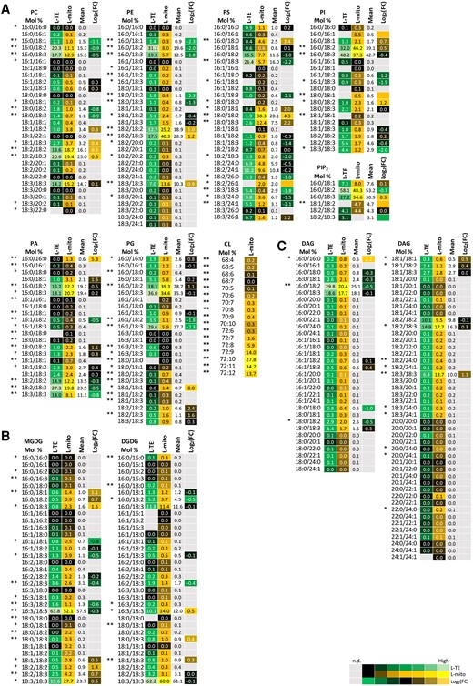 Profiles of the distribution and fold changes (FC) of the molecular glycerolipid species between total extracts and mitochondrial fractions isolated from Arabidopsis leaves (L-mito and L-TE). Heat map visualizations of (A) glycerophospholipids, (B) glyceroglycolipids and (C) diacylglycerols illustrate the difference of species distribution based on liquid chromatography tandem mass spectrometry (LC–MS/MS) analyses. Each lipid class is represented by one set of joined columns, only DAG is divided into two sets due to space constraints. Identity of columns in each set from left to right: Column 1 lists the individual lipid class and the identity of the detected molecular lipid species. Column 2 (L-TE) lists the respective distribution of each molecular species in L-TE, expressed as the mean of its relative values in mol % in the three independent experiments also used for proteomics and for sphingolipid and sterol analysis (Figures 1, 5, and 6; Supplemental Table 1). Column 3 (L-mito) lists the respective distribution of each molecular species in L-mito, expressed as the mean of its relative values (mol%) in the three independent experiments also used for proteomics. Column 4 lists the mean distribution of both sample types, and column 5 (Log2(FC)) lists the binary logarithm of fold change. Binary logarithm was applied when the mean values are higher than 0.5 to inspect the FC between L-mito and L-TE. The heat map colors represent mean intensity values according to the color map on the low right-hand side. *, ** indicate P values <0.05 and <0.01, respectively, by Student’s t-test. PC, phosphatidylcholine; PE, phosphatidylethanolamine; PS, phosphatidylserine; PI, phosphatidylinositol; PA, phosphatidic acid; DAG, diacylglycerol; CL, cardiolipin; PG, phosphatidylglycerol; MGDG, monogalactosyldiacylglycerol; DGDG, digalactosyldiacylglycerol.