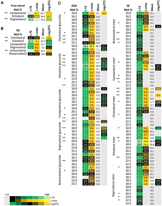 Profiles of the distribution and fold changes (FC) of the molecular sterol species between total extracts and mitochondrial fractions isolated from Arabidopsis leaves (L-mito and L-TE). Heat map visualizations of (A) free sterols, (B) steryl glycosides (SG), and (C) acylated steryl glycosides (ASG), and steryl esters (SE) illustrate the difference of species distribution based on liquid chromatography tandem mass spectrometry (LC–MS/MS) analyses. Each lipid class is represented by one set of joined columns. Identity of columns in each set from left to right: Column 1 lists the individual lipid class and the identity of the detected molecular lipid species. Column 2 (L-TE) lists the respective distribution of each molecular species in L-TE, expressed as the mean of its relative values (mol %) in the three independent experiments also used for proteomics and for glycerolipid and sphingolipid analysis (Figures 1, 3 and 5; Supplemental Table 1). Column 3 (L-mito) lists the respective distribution of each molecular species in L-mito, expressed as the mean of its relative values (mol %) in the three independent experiments also used for proteomics. Column 4 lists the mean distribution of both sample types, and column 5 (Log2(FC)) lists the binary logarithm of fold change. The heat map colors represent mean intensity values according to the color map on the low left-hand side. Binary logarithm was applied when the mean values are higher than 0.5 to inspect the FC between L-mito and L-TE. *, ** indicate P values <0.05 and <0.01, respectively, by Student’s t-test.