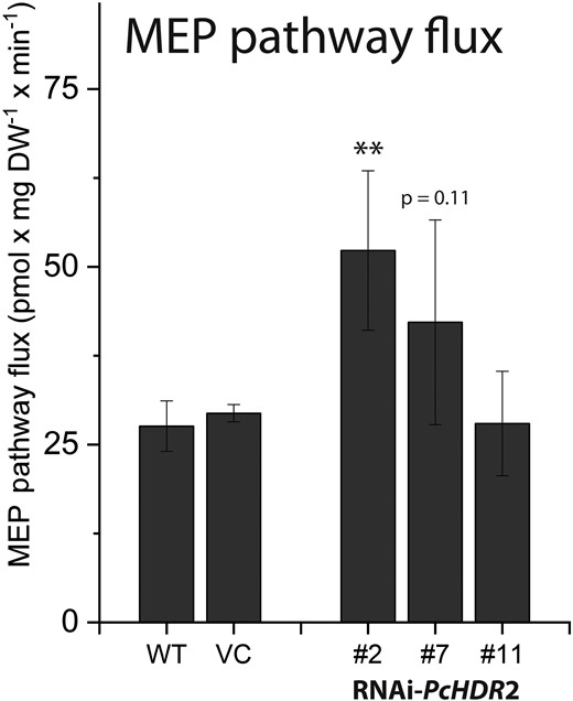 Effects of HDR2 gene silencing on methylerythritol phosphate (MEP) pathway flux in transgenic Populus × canescens lines. Flux was determined from fitting of time-courses of label incorporation from 13CO2 into isoprene. HDR2 silencing increased the flux through the pathway. Statistical analysis was performed by using Student's t-test of treated samples against the controls. Values are given as mean ± standard error of at least four biological replicates per line. ** = P < 0.01; VC, vector control.