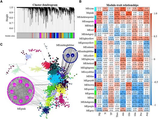 Identification of genes related to Mg application level. A) Gene modules identified by weighted gene co-expression network analysis (WGCNA). B) Relationships of consensus module genes and content of Mg, free amino acids. C) Interaction network of genes and hub genes in the MEpink and MEmidnightblue modules. The Roman numerals shown in the MEpink and MEmidnightblue modules represent the ten hub genes. The module name is shown on the left side of each cell. Numbers in the table report the correlations of the corresponding module eigengenes and contents, with the P-values printed below the correlations in parentheses. The table is color coded by correlation according to the color legend. Intensity and direction of correlations are indicated on the right side of the heatmap (red, positively correlated; blue, negatively correlated).
