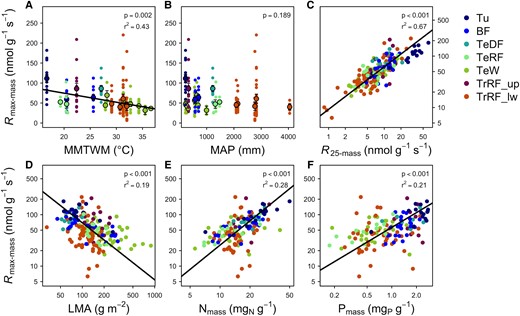 Relationships between mass-based maximum respiration rates (R max-mass) of plants and environmental variables, basal respiration, and leaf traits. These include A) mean maximum temperature of the warmest month (MMTWM), B) mean annual precipitation (MAP), C) mass-based respiration at 25 °C (R 25-mass), D) leaf mass per area (LMA), E) mass-based leaf nitrogen (Nmass), and F) mass-based phosphorus (Pmass). The linear regression in A) (P < 0.05; see Table 1 for the equation) is through site-mean data (larger points; means ± SE, n = 19). Smaller points indicate species-site mean data (n = 191 for A), B), and D); n = 190 for C); and n = 142 for E) and F)). In C)–F), standardized major axis regressions through site-species mean data show significant relationships (P < 0.05; see Table 2 for equations). Abbreviations for biomes are as follows: Tu, tundra; BF, boreal forest; TeDF, temperate deciduous forest; TeRF, temperate rainforest; TeW, temperate woodland; TrRF_up, high elevation tropical rainforest; TrRF_lw, lowland tropical rainforest.