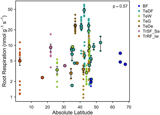 Root respiration rates as a function of latitude. No significant relationship was found through site-mean data (larger points, means ± SE, n = 37). Smaller points indicate species-site mean data (n = 206). Abbreviations for the biomes are as follows: BF, boreal forest; TeDF, temperate deciduous forest; TeW, temperate woodland; TeG, temperate grassland; TeDe, Temperate desert; TrSF_Sa, Tropical seasonal forest/savanna; TrRF_lw, lowland tropical rainforest.