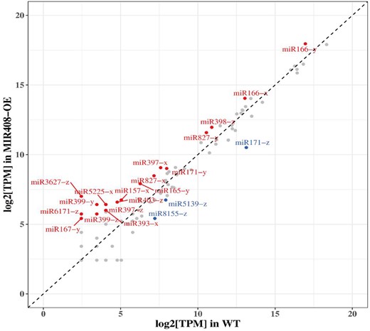 Known DE miRNAs in WT and DlMIR408-OE cell lines. The red label represents upregulated DE miRNAs, the blue label represents downregulated DE miRNAs, x represents the 5p, y represents 3p, and z represents not only maps to 5p but also maps to 3p after comparison with miRNA in other species.