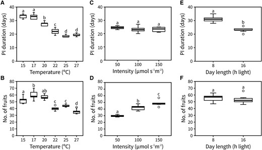 Inflorescence lifespan and fruit set are affected by photo-thermal signals. A and B) Duration (A) and the number of fruits (B) of the PI in plants grown at 15 °C, 17 °C, 20 °C, 22 °C, 25 °C, or 27 °C (n = 9 to 12). C and D) Duration (C) and the number of fruits (D) of the PI in plants grown at 50, 100, and 150 μmol s−1 m−2 (n = 4 to 9). E and F) Duration (E) and the number of fruits (F) of the PI in plants grown at 8 and 16 h of day length (n = 11 to 12). Different letters indicate statistical differences between conditions (for A–D: ANOVA, Tukey Honestly Significant Difference (HSD), P < 0.05, for E and F: Student's t-test, P < 0.05). Boxes indicate the interquartile range. The central line indicates the median, and whiskers show minimum and maximum values.