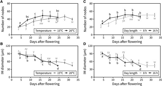 IM activity is controlled by day length and temperature. A and B) Effect of temperature on the activity of the IM. A) Average number of reproductive nodes (i.e. siliques, flowers, and floral primordia) produced along the PI at different time points through PI lifetime, in Col-0 plants grown at 15 °C or 20 °C (n = 4 to 7). B) Average diameter of the IM at different time points during PI lifetime in Col-0 plants grown at 15 °C or 20 °C (n = 4 to 7). C and D) Effect of day length on the activity of the IM. C) Average number of reproductive nodes (i.e. siliques, flowers, and floral primordia) produced along the PI at different time points through PI lifetime, in Col-0 plants grown under a 16- or 8-h photoperiod (n = 6 to 12). D) Average diameter of the IM at different time points during PI lifetime in Col-0 plants grown under a 16- or 8-h photoperiod (n = 6 to 12). Different letters indicate statistical differences between time points for a given environmental condition (ANOVA, Tukey HSD, P < 0.05). Error bars represent the standard deviation.