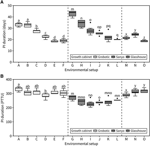 Inflorescence arrest occurs at a photo-thermal threshold. A) Duration of the PI in a range of environmental setups expressed in calendar time (days) (n = 7 to 13). Different letters indicate statistical differences between groups (for environmental setups A–D: ANOVA, Tukey's HSD test, P < 0.05, for E–O: Kruskal–Wallis rank sum test, pairwise Wilcoxon test with Benjamini and Hochberg correction, P < 0.05). B) Duration of the PI for the same data as (A) expressed in cumulative photo-thermal time units (PTTU, °C daylight days) (n = 7 to 13). Different letters indicate statistical differences between groups (for environmental setups A–L: Kruskal–Wallis rank sum test, pairwise Wilcoxon test with Benjamini and Hochberg correction, P < 0.05, for M–O: ANOVA, Tukey's HSD test, P < 0.05). Setups A–F are identical to Fig. 1A, G–L are identical to Fig. 3C, and M–O represent new data (see Supplemental Table S1). Boxes indicate the interquartile range. The central line indicates the median, and whiskers show minimum and maximum values.