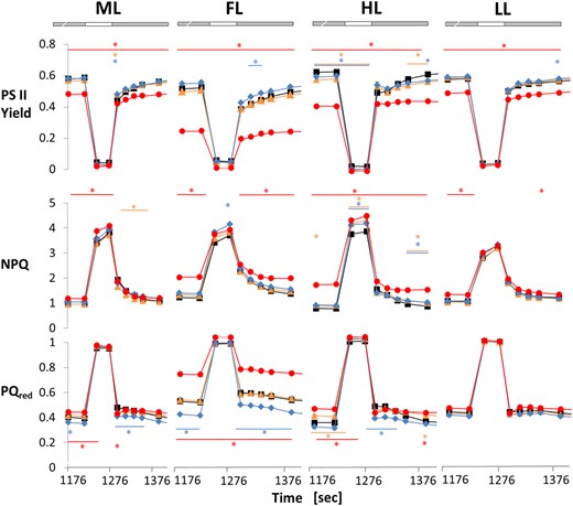Light acclimation effects on photosynthetic dynamics are restricted in the ntrc mutant. WT (black), trxf1 (trxf, yellow), trxm1m2 (trxm, blue), and ntrc (red) mutants were grown in 12 h-day length at ML intensity (250 µmol photons m−2 s−1) for 3 weeks and then kept at this light intensity or shifted to either LL (90 µmol photons m−2 s−1), HL (900 µmol photons m−2 s−1) or fluctuating LL and HL (FL, 4 min LL, 1 min HL, average light intensity: ∼250 µmol photons m−2 s−1) for 7 d. After 30 min of dark-adaptation, plants were subsequently transferred for 20 min to short-term FL (see above) to analyze short-term dynamics of different chlorophyll fluorescence parameters using PAM fluorometry: photosystem II quantum efficiency (PSII yield; top row), NPQ (middle row) and PQ pool reduction state (PQred, measured as 1-qL; bottom row). An increase in PQred is indicative of decreased PSII acceptor availability. Results are the mean ± SE, n = 6 to 12 biological replicates. Asterisks above and below traces mark were parameters were significantly different relative to WT. Significant changes, relative to WT, within one condition were evaluated by using a one-way ANOVA with a post hoc Tukey test (P < 0.05). The gray bars indicate the LL, the white bars the HL phases of FL.