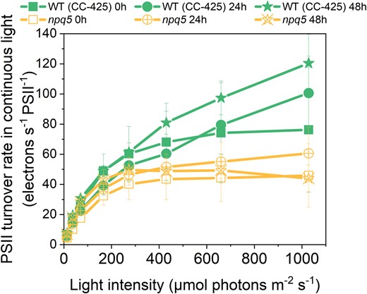 PSII turnover rate in continuous light. PSII turnover rate was measured by multiplying Y(II) and maximal PSII rate at given light intensities (x axis). Data shown are mean ± SEM, n = 3 biological replicates. See the Materials and methods section for details about the calculation.