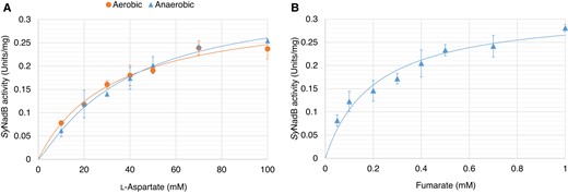 Saturation curves of SyNadB for L-aspartate and fumarate. A) Saturation curves of SyNadB for L-aspartate under aerobic and anaerobic reactions. For the measurement of SyNadB activity for the anaerobic reaction, the concentration of fumarate was fixed at 2 mM. The coefficients of determination (R2) of curve fitting in the aerobic and anaerobic reactions were 0.97819 and 0.98876, respectively. The χ2 values of curve fitting in the aerobic and anaerobic reactions were 0.00046 and 0.00032, respectively. B) Saturation curve of SyNadB for fumarate in the anaerobic reaction. The concentration of L-aspartate was fixed at 100 mM. The R2 and χ2 of curve fitting were 0.95209 and 0.00151, respectively. The data in Fig. 3 represent the mean ± Sd based on 3 independent measurements.