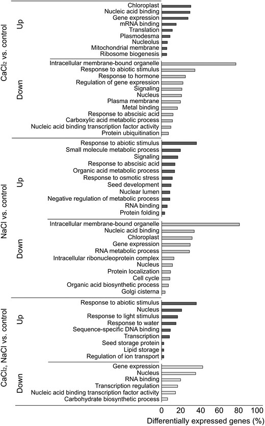 Functional classification of DEGs by the DAVID gene functional classification tool (https://david.ncifcrf.gov/). The tool utilizes the comprehensive DAVID Knowledgebase which pulls together multiple sources of functional annotations. Representative classifications were selected base on P values (P ≤ 0.05) by kappa statistics. Classification analysis of the upregulated and downregulated DEGs was performed based on the following: biological process, molecular function and cellular component.
