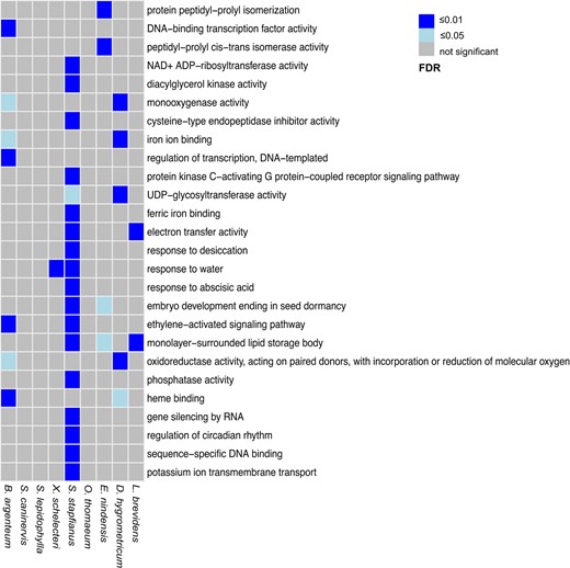 Summary of enriched GO terms for transcripts that demonstrate remarkable abundance increase upon desiccation in VDT species. GO enrichment analyses of gene sets were conducted using the “KEGG/GO Enrichment” function implemented in the “Drying without Dying” database.