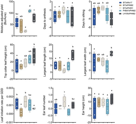 Response of agronomic traits to side-dress N application among each of the five selected maize hybrids. Nine traits are presented, each plotted as the response to side-dress N, i.e. the difference between maize grown in the presence and absence of the side-dress N application. An average measurement from four plants in each of two field plots was used to calculate the response to side-dress N by subtracting a measurement in the absence of side-dress N from a measurement in the presence of side-dress N, using each pairwise combination, for a total of four plotted values for each hybrid. Moisture adjusted yield was normalized to a 15.5% (w/w) moisture content. Individual data points, are displayed as open circles overlaid upon box and whisker plots that indicate the max, min, and 25th, 50th, and 75th percentiles. Statistically significant differences between hybrids were determined using Tukey's HSD test with 95% confidence interval using letter codes, n = 4 individual plants. GDD, growing degree days.