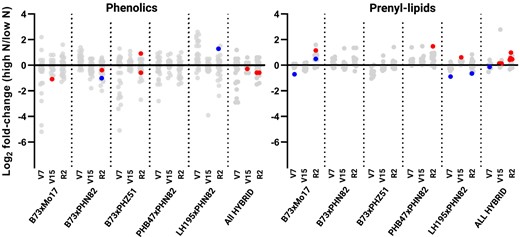 Change in prenyl-lipid and phenolic levels in leaves of five maize hybrids in response to side-dress N. The top collared leaf was sampled at V7 and the topmost ear leaf was sampled at V15 and R2 and 29 phenolic compounds and 12 prenyl-lipid compounds were extracted, identified and quantified. The log2 fold-change of the average values (n = 4 biological replicates) of each phenolic (left) and prenyl-lipid (right) in the presence or absence of a side-dress N application is presented. Each compound is represented by a single dot. Compounds with a statistically significant change determined by two-way ANOVA are marked with red dots (P < 0.01) or blue dots (P < 0.05).