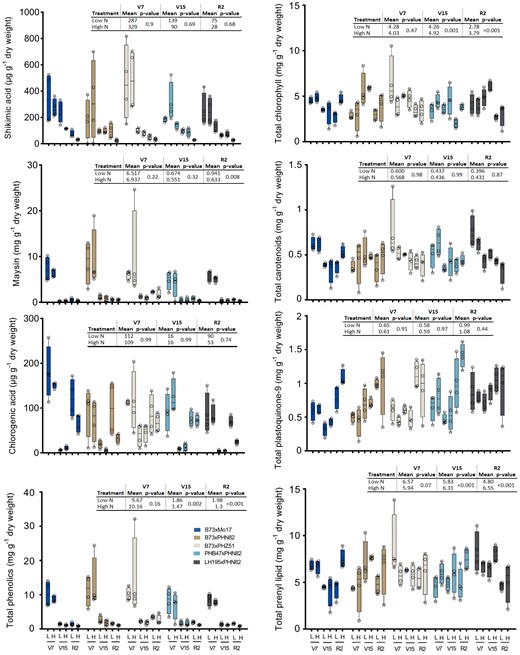 Selected metabolite levels in leaves of five maize hybrids. The top collared leaf was sampled at V7 and the topmost ear leaf was sampled at V15 and R2 and 29 phenolic compounds and 12 prenyl-lipid compounds were extracted, identified and quantified. Measured concentrations of shikimic acid, chlorogenic acid, maysin, total phenolics, chlorophylls, carotenoids, plastoquinone (oxidized and reduced), and total prenyl lipids are presented. Individual data points are plotted as open circles overlaid upon box and whisker plots that indicate the maximum, minimum, and 25th, 50th, and 75th percentiles. n = 4 individual plants. Insets indicate N treatment effect across all five hybrids with adjusted P-value according to Tukey's HSD.