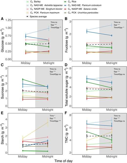 Carbohydrate concentrations in dark-adapted C3 and C4 leaves expressed on per leaf area (solid line). A) glucose; B) fructose; C) sucrose; D) total soluble sugar; E) starch; and F) total nonstructural carbohydrate. Carbohydrate concentrations presented in this figure were measured using chemical assays. Total soluble sugar is calculated by adding glucose, fructose, and sucrose concentrations, while total nonstructural carbohydrate is the sum of total soluble sugar and starch concentrations. Dash lines indicate the averaged concentrations across the 8 species. Unshaded and shaded regions denote day and night, respectively. Data are presented as mean ± SE at midday and midnight. Statistical results of a 2-way ANOVA examining time and/or species (Spp) effect are indicated on the figures (*, P < 0.05; **, P < 0.01; ***, P < 0.001; ns, not significant).