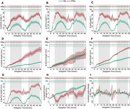 Plant response kinetics to WL or WL with supplemental FR light on the entire plants (FRw). Relative angle change of petiole (A), lamina (B), or total leaf (C). Relative length change of petiole (D), lamina (E), or total leaf (F). Relative leaf tip elevation (G), relative change in projected lamina length (H), and speed of petiole angle adjustment over 60 min periods (I). Shaded areas indicate dark period without light or FR exposure. Plants were followed for 48 h and treated with FRw, R:FR = 0.1, or control WL. Treatment start time at ZT = 2, WL n = 7, FRw n = 6. PAR = 140 µmol m−2 s−1 for both treatments. Lines represent mean ± Sem. Letters indicate P < 0.05, calculated per every 2 h using 1-way ANOVA and Tukey post hoc test. Gray areas indicate night without light or FR exposure.