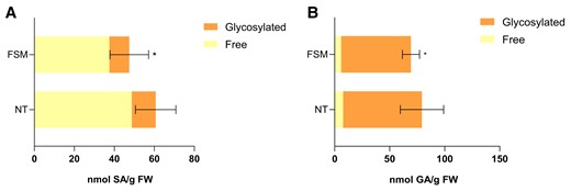 Pharmacological validation of the crosstalk between monoterpenoids and SA biosynthesis. Free and glycosylated A) SA (left panels) and B) GA (right panels) levels in FSM pretreated and nontreated (NT) infected MM tomato plants. The extracts were analyzed by fluorescence–HPLC. In both figures, bars represent the mean (nmol/g FW, fresh weight) ± Sd of total levels of a representative experiment (n = 4). Statistically significant differences (t test, P < 0.05) between treated and NT are represented by asterisks (*) of total levels of a representative experiment.