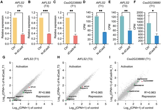 The specificity of the N-dCas9/dCas9-N tools in Arabidopsis and cucumber. A) to C) RT-qPCR validation of the relative expression levels of AtFLS2 when N-dCas9 is targeted to T1 (A) and T3 (B) sites in Arabidopsis protoplasts and the expression level of Csa2G238880 when dCas9-N is targeted to T1 site (C) in cucumber hairy roots. Data are shown as means ± Sd (n = 2). Differences between 2 groups were tested using the Student's t test (*P < 0.05, **P < 0.01, ***P < 0.001). D) to F) Expression level of AtFLS2 when N-dCas9 is targeted to T1 (D) and T3 (E) sites in Arabidopsis protoplasts and expression level of Csa2G238880 when dCas9-N is targeted to T1 site (F) in cucumber calculated using RNA-seq CPM values. Data are shown as means ± Sd (n = 2). Differences between 2 groups were tested using the Student's t test (*P < 0.05, **P < 0.01, ***P < 0.001). G) and H) Pearson's correlation analysis with RNA-seq data reveals the specificity when N-dCas9 is targeted to the T1 (D) and T3 (E) sites of AtFLS2 in Arabidopsis protoplasts. I) Pearson's correlation analysis with RNA-seq data reveals the specificity when dCas9-N is targeted to the T1 site of Csa2G238880 in cucumber hairy roots. On-target and potential off-target genes are marked in each plot respectively, in G to I.