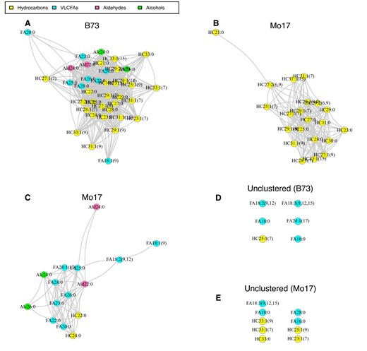 Correlation-based clustering of silk cuticular wax abundance data for inbred lines, B73 and Mo17. Rank-based Spearman correlations were calculated between all pairs of metabolites and used to construct the weighted correlation networks via weight gene correlation network analysis for A) B73 and B and C) Mo17. The nonclustered metabolites for B73 and Mo17 are shown in D and E) respectively. Pairs of lipid metabolites connected by edges are significantly correlated with correlation coefficients ≥0.5 and reside within the same cluster. Edge length represents correlation strength with shorter edges representing stronger correlations between metabolites. Nonclustered singleton metabolites were not statistically correlated with any other metabolites, or shared correlation values <0.5. Abbreviations: Alc, alcohol; Ald, aldehyde; FA, fatty acid; HC, hydrocarbon; VLCFA, very long-chain fatty acid.
