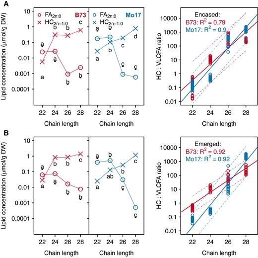 Accumulation of cuticular hydrocarbon products and the metabolically related cuticular VLCFAs, and the regression of the hydrocarbon:VLCFA on chain length for inbreds B73 and Mo17. Concentrations (log-scaled) of cuticular hydrocarbons (HC2n-1:0) and VLCFAs (FA2n:0) were analyzed from husk-encased silks (A) and from silks that had emerged from the husks (B) of the inbreds B73 (red data points) and Mo17 (blue data points). Averages ± standard errors from seven to eight biological replicates as presented in Fig. 1 are reported for the metabolite concentrations. Different letters associated with data points from the same metabolite class indicate a statistically significant difference between acyl chain lengths (P < 0.05; Tukey's HSD test); letters associated with VLCFAs are underlined. In the regression, the prediction intervals for the regression models are indicated by the dashed lines for each inbred. Abbreviations: DW, dry weight; FA, fatty acid; HC, hydrocarbon; HSD, honestly significant difference; VLCFA, very long-chain fatty acid.