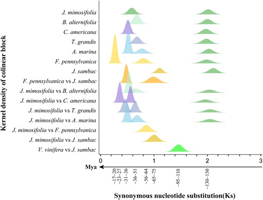 Distribution of Ks among collinearity genes in or between compared genomes. A timeline is provided to estimate dating. Mya, million years ago.