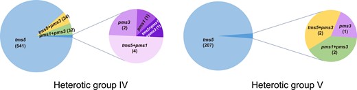 The EGMS-causative genes exploited by rice hybrid heterotic groups IV and V.