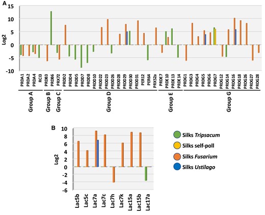 Genes encoding enzymes that facilitate reactive oxygen species reduction and lignin polymerization are only regulated in maize silks by foreign invaders. A) Peroxidase (PRX) and B) LAC genes are largely upregulated after F. graminearum infection, partly upregulated after U. maydis infection and tendentially downregulated by pollen tubes of T. dactyloides.
