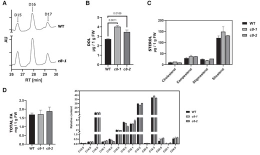 trappc8 mutant plants show increased accumulation of Dol but not other lipids. The indicated lipids were isolated from WT and mutant seedlings grown for 2 weeks in a liquid medium. A) The samples were analyzed by HPLC/UV. Representative chromatograms are shown, with peaks corresponding to dolichol-15 (D15), dolichol-16 (D16), and dolichol-17 (D17) marked. AU, arbitrary units; RT, retention time. B) Quantification of Dol accumulation. The sum of Dol-15, -16, and -17 is plotted. C) Quantification of 4 main phytosterols. D) Total accumulation of fatty acids (FA) and relative content (percent of total) of identified FAs (indicated below the graph by chain length and saturation level). FW, fresh weight. For B–D), 3 biological replicates were assayed in each experiment and mean values with standard deviations are shown. The numerical values on the graph in B are P-values for unpaired t-tests with Welch's correction. For sterols and fatty acids, no significant differences were found between WT and mutant seedlings. WT, wild-type; c8-1, trappc8-1; c8-2, trappc8-2.