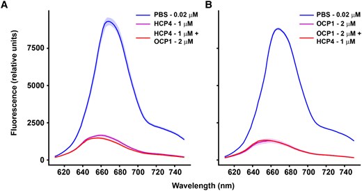Comparison of quenching capacity between HCP4 and OCP1. Anabaena PBS were isolated to perform in vitro quenching experiments with either AnOCP1 (photoactivated) and HCP4 (purified holoprotein in both cases). A) Anabaena PBS fluorescence quenching by HCP4 followed by addition of photoactivated AnOCP1. B) Photoactivated AnOCP1 was used to quench PBS with a subsequent addition of HCP4. Values correspond to mean, and the shaded areas correspond to the Sd of 3 technical replicates in each case.