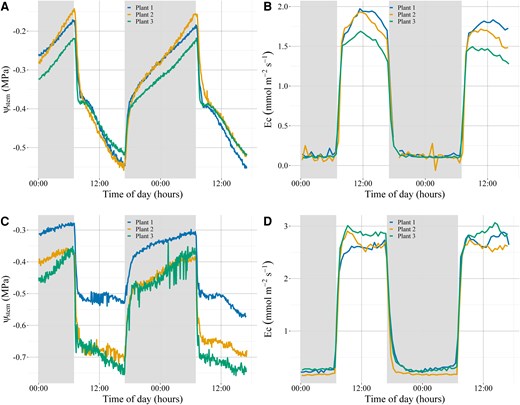 Diurnal pattern of ΨStem and transpiration in C. rhomboidea and P. radiata over 2 well-watered consecutive days. Continuous ΨStem measurements for C. rhomboidea (A) and P. radiata (C) were taken every 250 s using an optical dendrometer (n = 3 for both species). Diurnal patterns of Ec taken in parallel with ΨStem data on the same C. rhomboidea (B) and P. radiata (D). Dark gray sections indicate the night-time period.