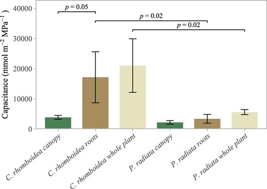 Root, canopy, and whole-plant capacitance in C. rhomboidea and P. radiata. Mean (±SD) absolute values of capacitance for C. rhomboidea and P. radiata (n = 3 for both species) separated by canopy (green) and roots (brown) and the whole plant (cream). Differences in roots and whole-plant contributions between C. rhomboidea and P. radiata were significant (Student's t-test, P < 0.05 for both comparisons). Difference in roots and canopy contributions for C. rhomboidea were not significant (Student's t-test, P > 0.05).