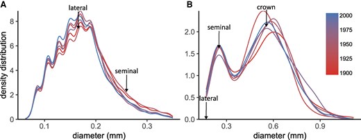 Root diameter density distribution for 6 different cultivars of winter wheat (T. aestivum L.). Data corresponds to lateral A) and axile B) roots obtained from the field with the shovelomics technique, for 2 experimental years (n = 27 to 32 plants). Density plots of lateral and axile roots were separated for visualization purposes. The arrows are a reference of the median value, for the different root types. The color scale indicates the cultivar release year.