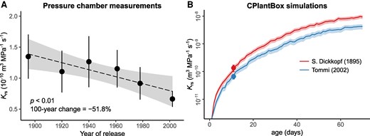 The relationship between year of cultivar release and whole root system conductance (Krs) of winter wheat (T. aestivum L.). A) shows pressure chamber measurements of Krs in 10- to 12-d-old plants for 6 different cultivars, with data points and error bars representing the mean ± CI95% (n = 8 to 12 plants). The dashed line and shaded area represent the regression line ± 95%. Statistical significance was assessed using ordinary least squares regression. B) shows the development of Krs over plant age for the winter wheat cultivars S. Dickkopf (release year 1895) and Tommi (release year 2002). The line and the shaded area correspond to the mean ± SE of Krs simulations (n = 6 simulation runs) using the whole-plant model CPlantBox. Data in (A) were log-transformed prior to model fitting and back-transformed for visualization. Notice the log-scale in panel (B).