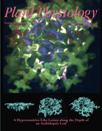 Plant Physiology Cover Image for Volume 154, Issue 3