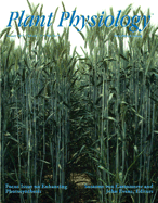Plant Physiology Cover Image for Volume 155, Issue 1