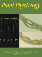 issue cover