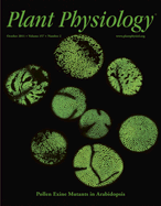 issue cover