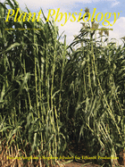 Plant Physiology Cover Image for Volume 162, Issue 2