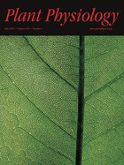 issue cover