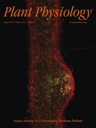 issue cover