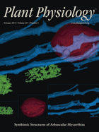 issue cover