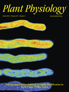 issue cover