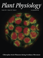 Plant Physiology Cover Image for Volume 169, Issue 2