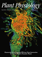 issue cover
