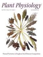 Plant Physiology Cover Image for Volume 170, Issue 4